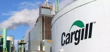 全球四大糧商之一的美國嘉吉公司將參與巴西 谷物鐵路 建設