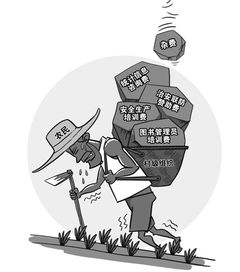 信息咨詢落地為實(shí) 從理論到實(shí)踐的橋梁