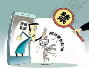 科技頻道 | 中國(guó)網(wǎng)信息咨詢平臺(tái) 連接科技與未來(lái)的信息樞紐